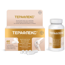 ТЕРАФЛЕКС капс. №60